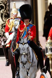 Image 164462348