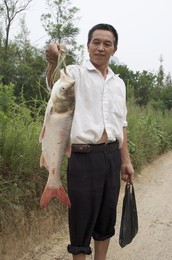 Image 172979951