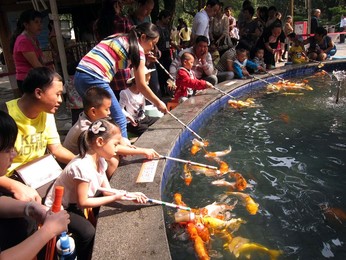 Image 173615632