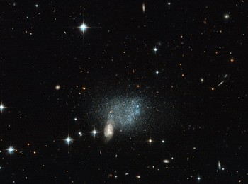 Image 175266123