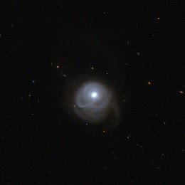 Image 175288917