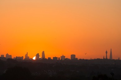 Image 175581980