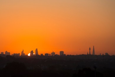 Image 175581988