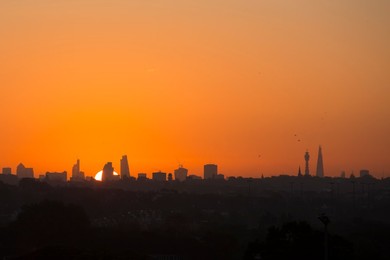 Image 175581991