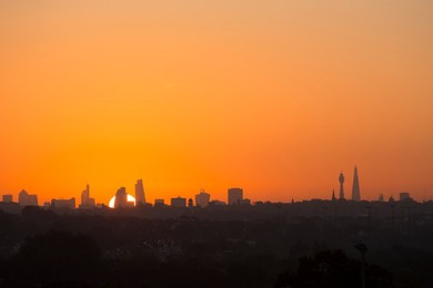 Image 175581993