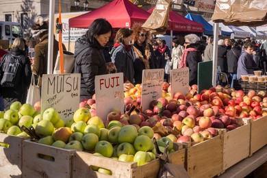 local food for locavores