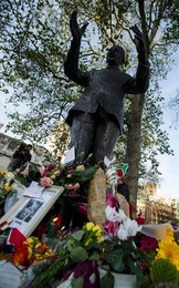 Image 178899964