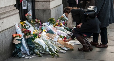 Image 178899976