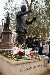 Image 178900046