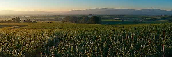 Image 179553025