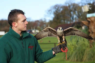 Annual Stocktake at Whipsnade Zoo