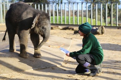Annual Stocktake at Whipsnade Zoo