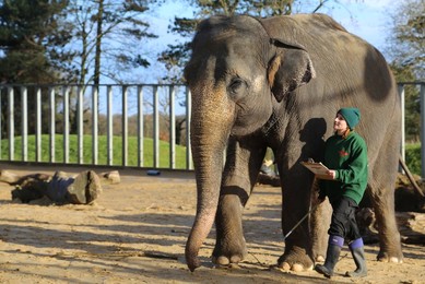 Annual Stocktake at Whipsnade Zoo