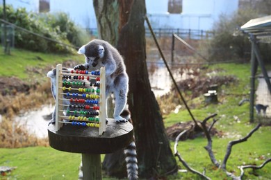 Annual Stocktake at Whipsnade Zoo