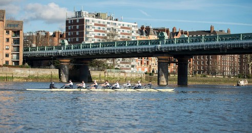 Image 182456985