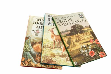 Selection of well read Ladybird books dating back to the 1950's & 1960's now celebrating their 60th anniversary (nature series)