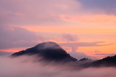 Rainforest landscape at sunset. Bach Ma National Park. Vietnam.