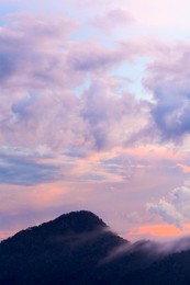 Rainforest landscape at sunset. Bach Ma National Park. Vietnam.