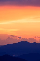 Rainforest landscape at sunset. Bach Ma National Park. Vietnam.