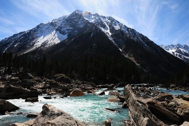 Image 187707186