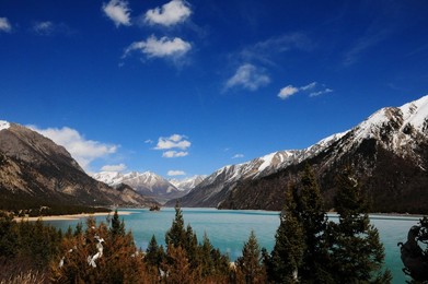 Image 187707219