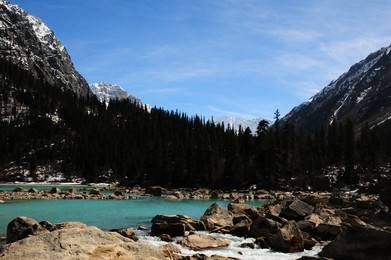 Image 187707229