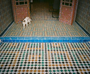 Image 187942287