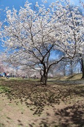 Image 191629197