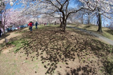 Image 191629273
