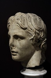 Image 192376842