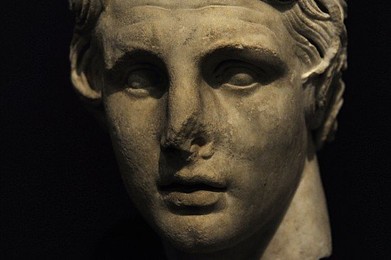 Image 192376843