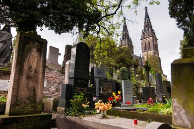 Image 192718197