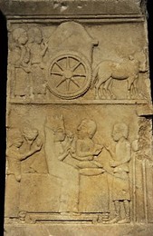 Image 194319701