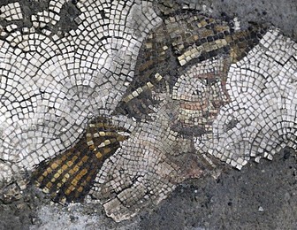 Image 194319724