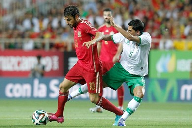 Image 195259168