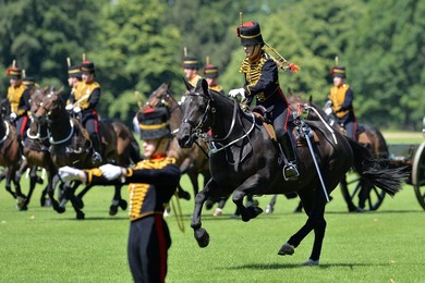 Image 196093898