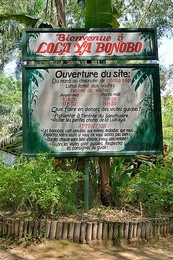 Image 196156881