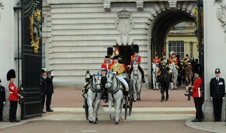 Image 196340645