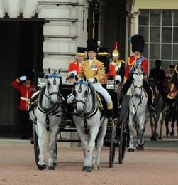 Image 196340651