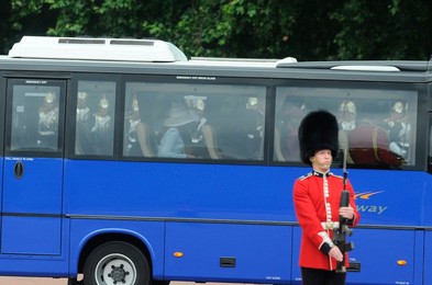 Image 196341185
