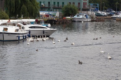 Image 196810522