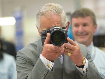 Image 197914934