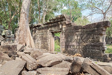 Image 199173285