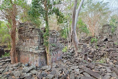 Image 199173286