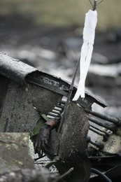 Image 199258501