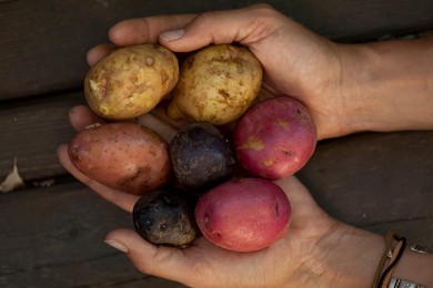 Farmer's Market: food, vendors and shoppers. Idaho