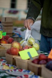 Farmer's Market: food, vendors and shoppers. Idaho
