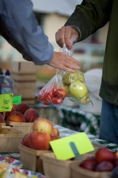 Farmer's Market: food, vendors and shoppers. Idaho