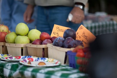 Farmer's Market: food, vendors and shoppers. Idaho