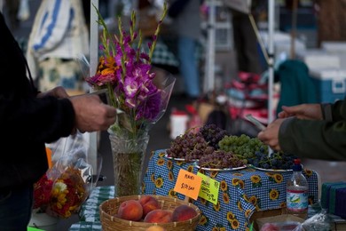 Farmer's Market: food, vendors and shoppers. Idaho